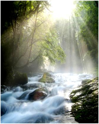 rapids