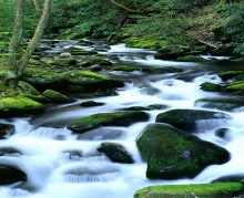 river