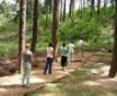meditation_walk