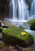 Waterfall Waterfall